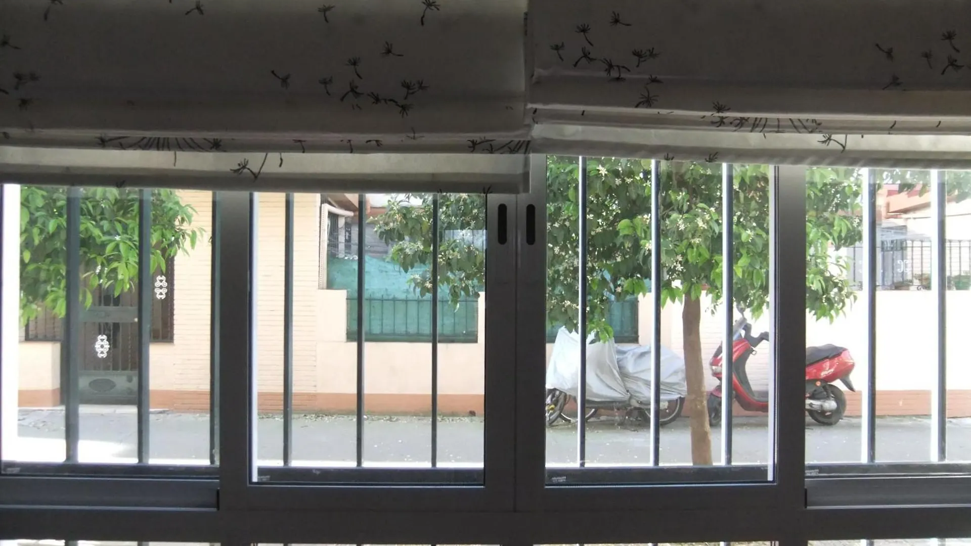 Cozy And Charming House In Sevilla Apartment Seville